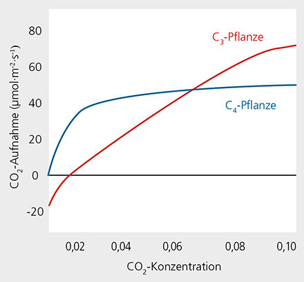 CO2-Begasung Kohlenstoffdioxid Duengung