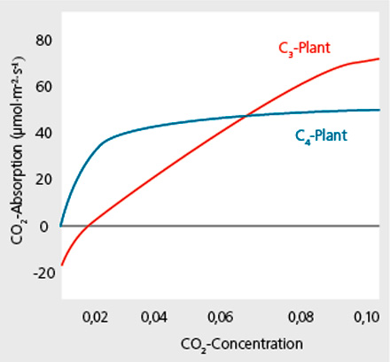 CO2 Gassing Carbon dioxide manuring