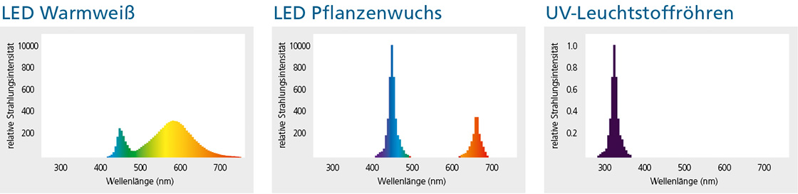 Licht Spektrale Strahlungsverteilung LED